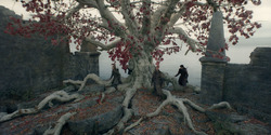 HouseOfTheDragon_3x05-UnbowedAndUnbent_4426