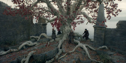 HouseOfTheDragon_3x05-UnbowedAndUnbent_4427