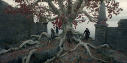 HouseOfTheDragon_3x05-UnbowedAndUnbent_4428