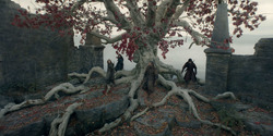 HouseOfTheDragon_3x05-UnbowedAndUnbent_4429