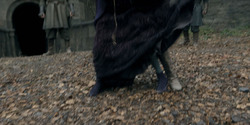 HouseOfTheDragon_3x05-UnbowedAndUnbent_4483