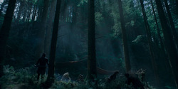 HouseOfTheDragon_3x05-UnbowedAndUnbent_5125