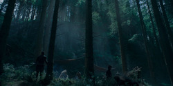 HouseOfTheDragon_3x05-UnbowedAndUnbent_5129