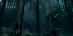 HouseOfTheDragon_3x05-UnbowedAndUnbent_5133