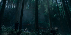 HouseOfTheDragon_3x05-UnbowedAndUnbent_5134