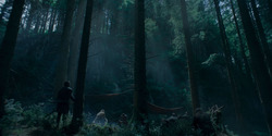 HouseOfTheDragon_3x05-UnbowedAndUnbent_5135