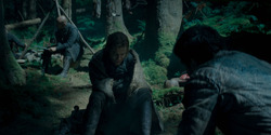 HouseOfTheDragon_3x05-UnbowedAndUnbent_5200