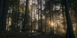 HouseOfTheDragon_3x06-FacelessMan_0002