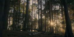 HouseOfTheDragon_3x06-FacelessMan_0006