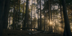 HouseOfTheDragon_3x06-FacelessMan_0007