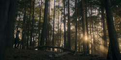 HouseOfTheDragon_3x06-FacelessMan_0008