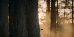 HouseOfTheDragon_3x06-FacelessMan_0069