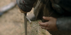 HouseOfTheDragon_3x06-FacelessMan_0479
