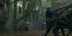 HouseOfTheDragon_3x06-FacelessMan_1693