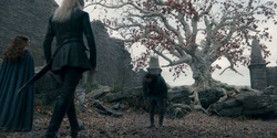 HouseOfTheDragon_3x07-TheDragonInWinter_01495