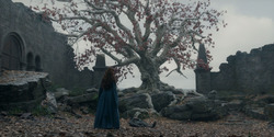 HouseOfTheDragon_3x07-TheDragonInWinter_02824