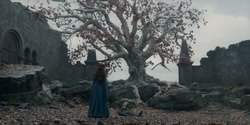 HouseOfTheDragon_3x07-TheDragonInWinter_02826