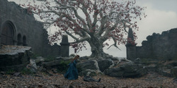 HouseOfTheDragon_3x07-TheDragonInWinter_02830