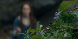 HouseOfTheDragon_3x07-TheDragonInWinter_02870
