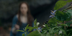 HouseOfTheDragon_3x07-TheDragonInWinter_02871