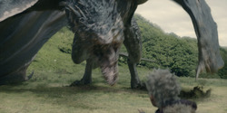 HouseOfTheDragon_3x07-TheDragonInWinter_03342