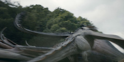 HouseOfTheDragon_3x07-TheDragonInWinter_03731