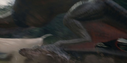HouseOfTheDragon_3x07-TheDragonInWinter_03751