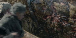 HouseOfTheDragon_3x07-TheDragonInWinter_03796