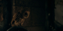 HouseOfTheDragon_3x07-TheDragonInWinter_04720