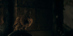 HouseOfTheDragon_3x07-TheDragonInWinter_04722