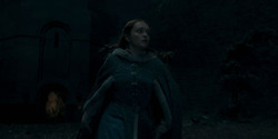 HouseOfTheDragon_3x07-TheDragonInWinter_04764