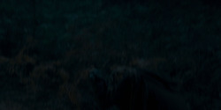 HouseOfTheDragon_3x07-TheDragonInWinter_05635