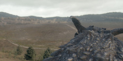 HouseOfTheDragon_3x08-TheTreasonsAtTumbleton_00846