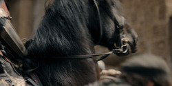 HouseOfTheDragon_3x08-TheTreasonsAtTumbleton_02387