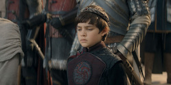 HouseOfTheDragon_3x08-TheTreasonsAtTumbleton_04014