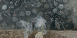HouseOfTheDragon_3x08-TheTreasonsAtTumbleton_04535