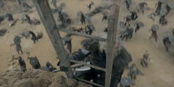 HouseOfTheDragon_3x08-TheTreasonsAtTumbleton_04621