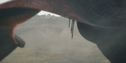 HouseOfTheDragon_3x08-TheTreasonsAtTumbleton_04824