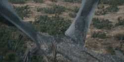 HouseOfTheDragon_3x08-TheTreasonsAtTumbleton_05354