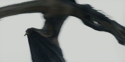 HouseOfTheDragon_3x08-TheTreasonsAtTumbleton_05390
