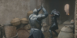 HouseOfTheDragon_3x08-TheTreasonsAtTumbleton_05418