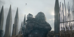 HouseOfTheDragon_3x08-TheTreasonsAtTumbleton_05616