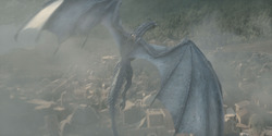 HouseOfTheDragon_3x08-TheTreasonsAtTumbleton_05674
