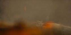 HouseOfTheDragon_3x08-TheTreasonsAtTumbleton_05721