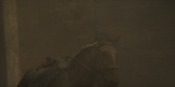 HouseOfTheDragon_3x08-TheTreasonsAtTumbleton_05818