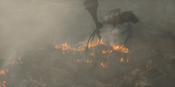HouseOfTheDragon_3x08-TheTreasonsAtTumbleton_05959