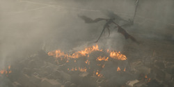 HouseOfTheDragon_3x08-TheTreasonsAtTumbleton_05960