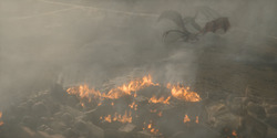 HouseOfTheDragon_3x08-TheTreasonsAtTumbleton_05961