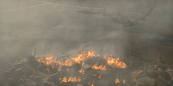 HouseOfTheDragon_3x08-TheTreasonsAtTumbleton_05962