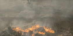 HouseOfTheDragon_3x08-TheTreasonsAtTumbleton_05964